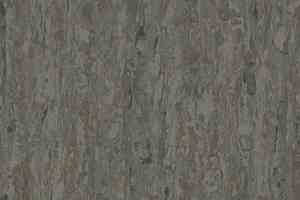 Линолеум Tarkett iq Optima GREY BROWN 0898 фото  | FLOORDEALER